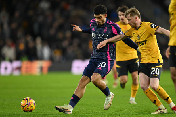 门和卓越的 门和卓越的